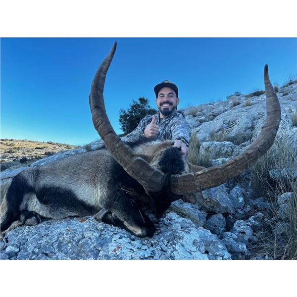 Southeastern Ibex - 4 Aces Outfitters
