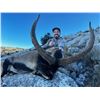 Image 1 : Southeastern Ibex - 4 Aces Outfitters