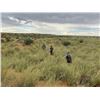 Image 3 : Dream Team Safaris - 5-Day Hunt for 1 Hunter and 1 Non-Hunter