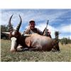 Image 7 : Dream Team Safaris - 5-Day Hunt for 1 Hunter and 1 Non-Hunter