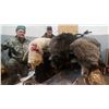 Image 3 : Northern Alberta Wolf Hunt