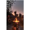 Image 2 : Aloe African Hunting Safaris