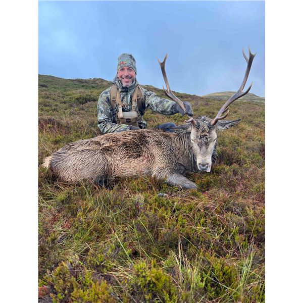 Wilderness Pursuits Sporting - 2 Scottish Red Stag - 3 days