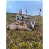 Image 1 : Wilderness Pursuits Sporting - 2 Scottish Red Stag - 3 days