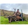 Image 2 : Wilderness Pursuits Sporting - 2 Scottish Red Stag - 3 days