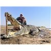 Image 3 : Dream Team Safaris - Mozambique