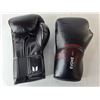 Image 3 : Evoke 14oz. Boxing Gloves