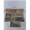Image 2 : (7) License Plates As-Is