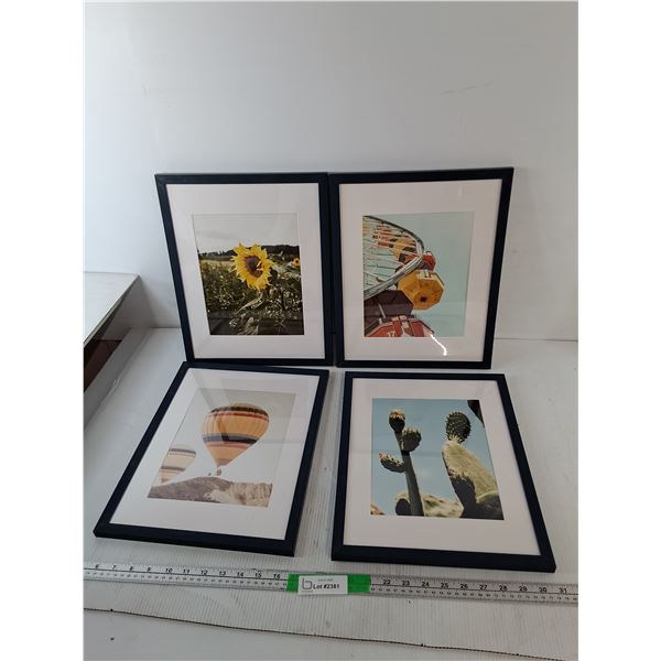 (4) Framed Outdoor Photos 14.75" x 11.75"