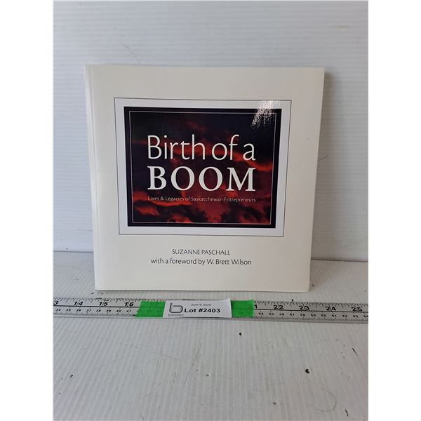 Birth of a Boom Entrepreneur Book