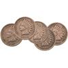 Image 1 : Indian Head Pennies (5 Different Dates)