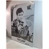 Image 3 : "Top Gun" Laminated Movie Poster (1986)-24"x36"