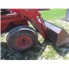 Image 15 : 1980 International 684 Diesel, Standard Hi-Lo Range, 3-Point Hitch, Dual Hydraulics, 540 PTO