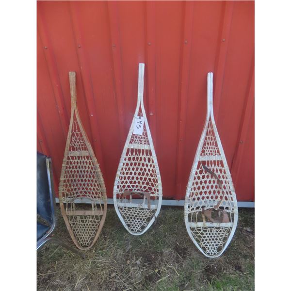 3 Snow Shoes