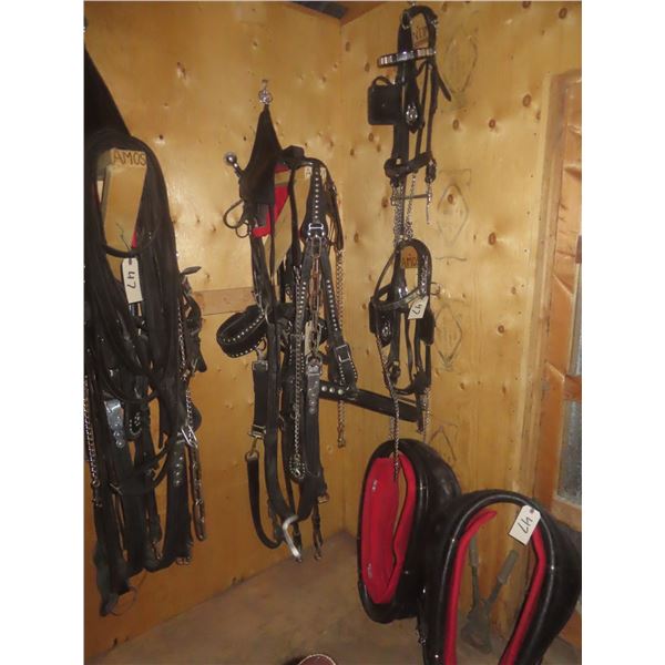 Set of Parade Harness with Bridle, Scotch Tops, Collars 26–28" Adjustable