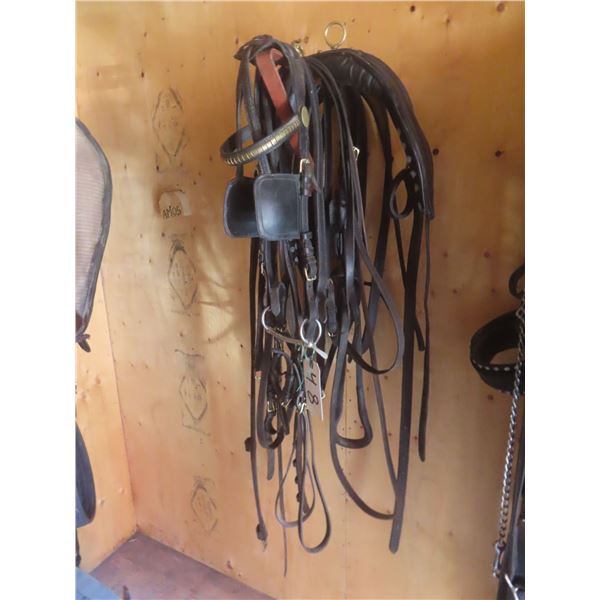 Single Driving Harness with Bridle