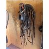 Image 1 : Single Driving Harness with Bridle