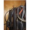 Image 4 : Single Driving Harness with Bridle