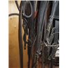 Image 5 : Single Driving Harness with Bridle