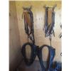 Image 1 : 2 Sets of Hames, Back Bands, Martingale, Trace and 2 Pulling Collars, 26", No Choke