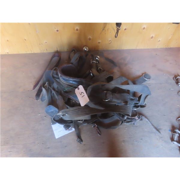 Single Work Harness, Homemade, Used for Training