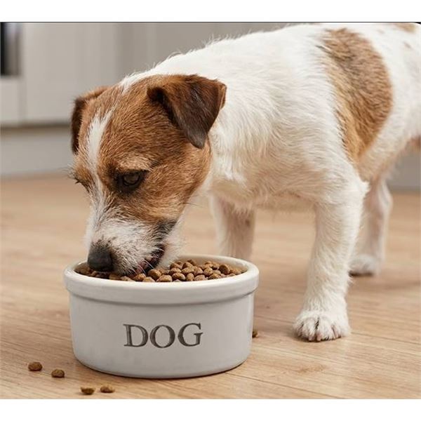 Ohio Stoneware 5" Dog Bowl