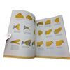 Image 3 : The New World Champion Paper Airplane Book