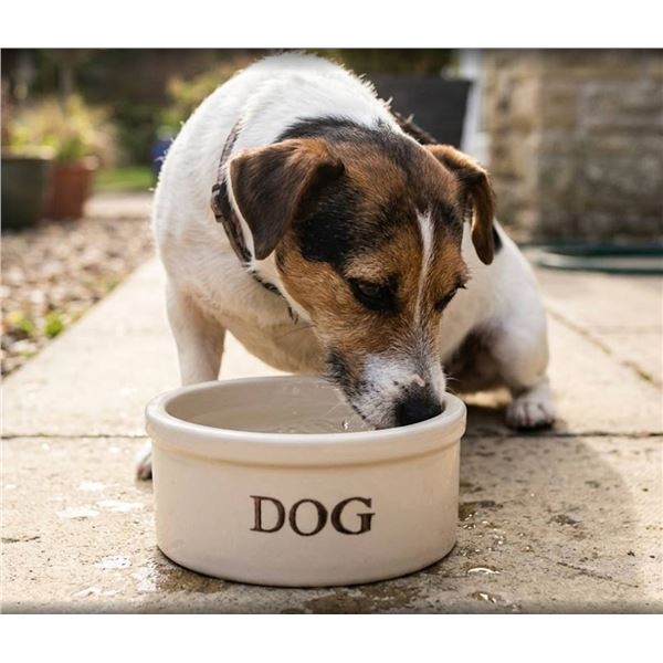 Ohio Stoneware 5-inch Dog Bowl