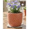 Image 1 : Stone & Beam Household Item Boxed