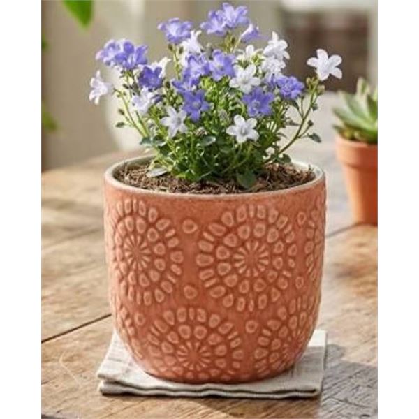 Stone & Beam Household Item Boxed
