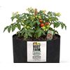 Image 1 : Root Farm Felt Garden Pot Set, 5.7L, 24 Pack