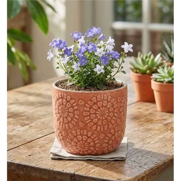 Stone & Beam Floral Embossed Planter Set