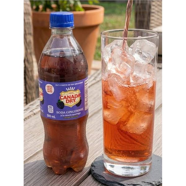 24 Bottles of 500mL Canada Dry Ginger Ale
