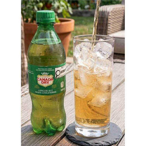Canada Dry Ginger Ale 23 x 500mL Bottles