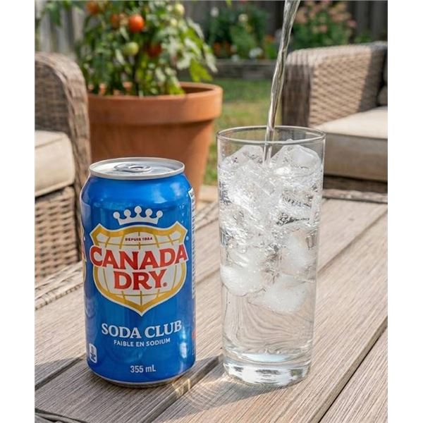 Canada Dry Club Soda, 24 x 355mL Cans