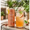 Image 1 : Shell Select Sparkling Peach 24 x 285mL