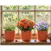 Image 1 : 3 assorted home goods