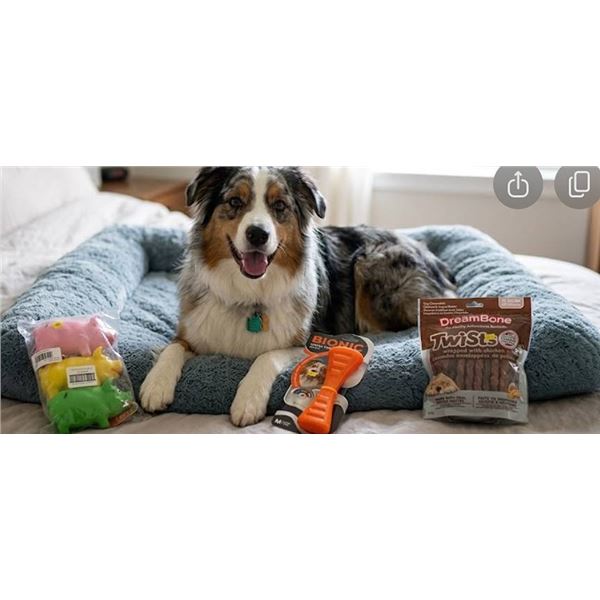 Dog Toys and Treats Bundle