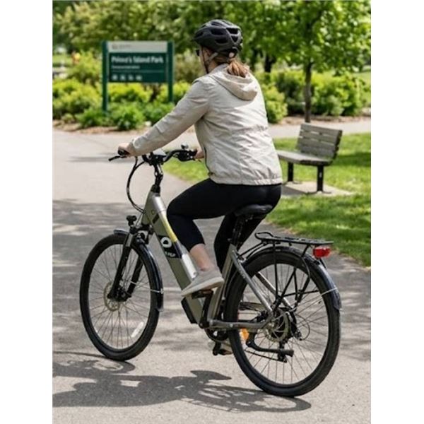 Ebgo Electric Bicycle with Rack And Charger
