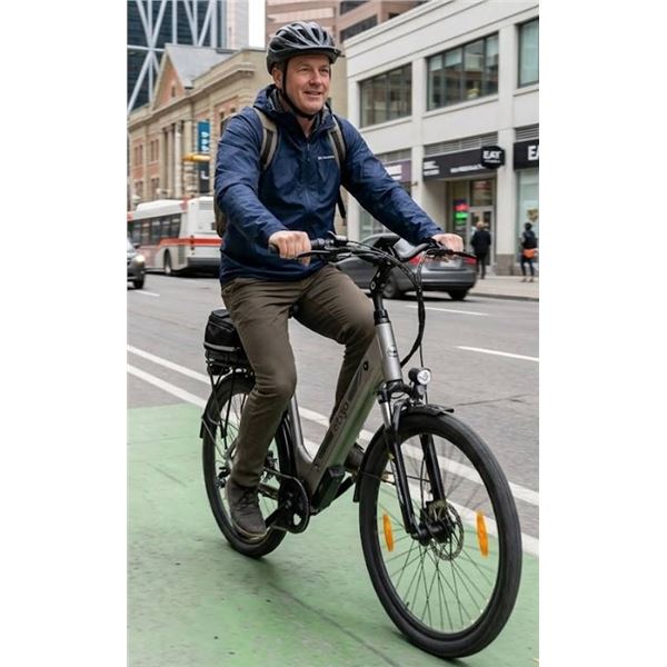 Ebgo Electric Bicycle with Rack And Charger