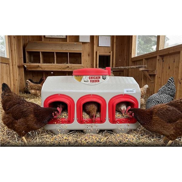 OverEZ Indoor & Outdoor Chicken Feeder