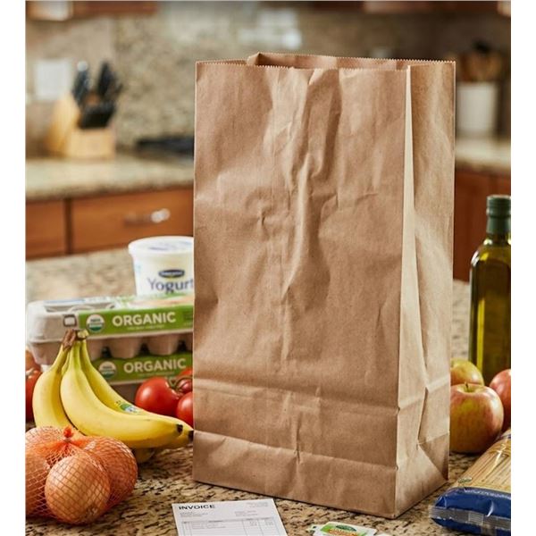 Sysco Kraft Regular Paper Bags, 500 Count