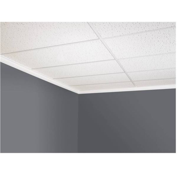 Lot of 2 -CertainTeed Grenada Ceiling Panel in Mineral Fibre for Suspended Ceilings 1/2-in x 2 x 4-f