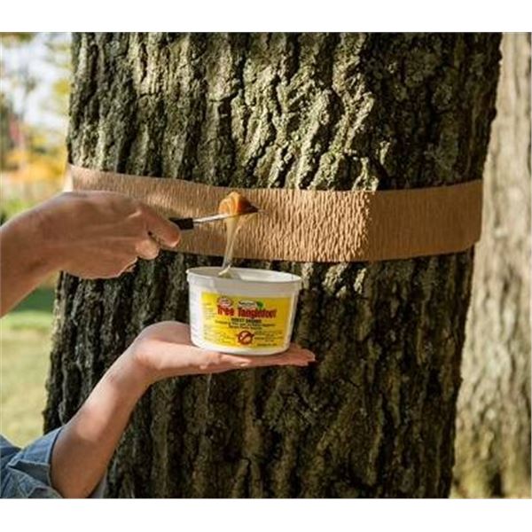 Lot of 5 Tanglefoot Tree Care Kits
