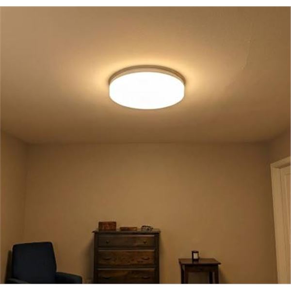 Luminus 11" LED Ceiling Fixture, 15W