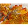 Image 5 : Fall / Thanksgiving Decorations
