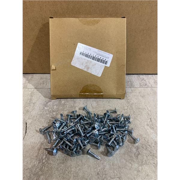 100 Pcs Phillips Head Self Tapping Screws