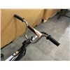 Image 4 : Supercycle Ride-A-Long Co-Pilot Bicycle