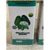 Image 2 : 2 x Sousop Graviola Leaf Liquid Extract