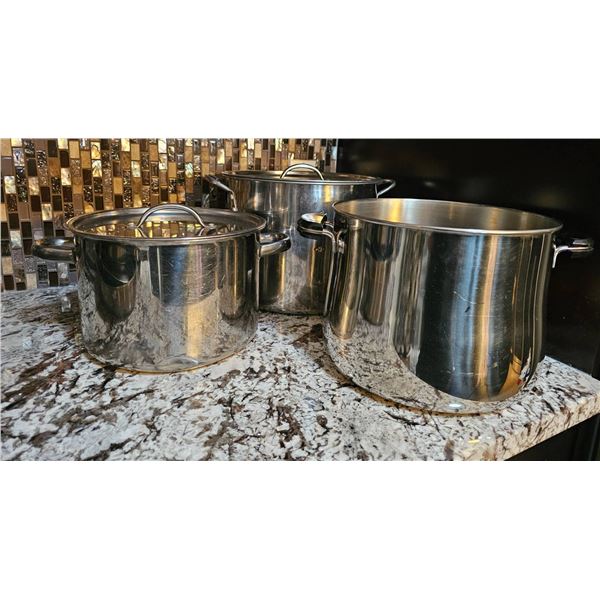 Three Stainless Steel Stockpots with Lids